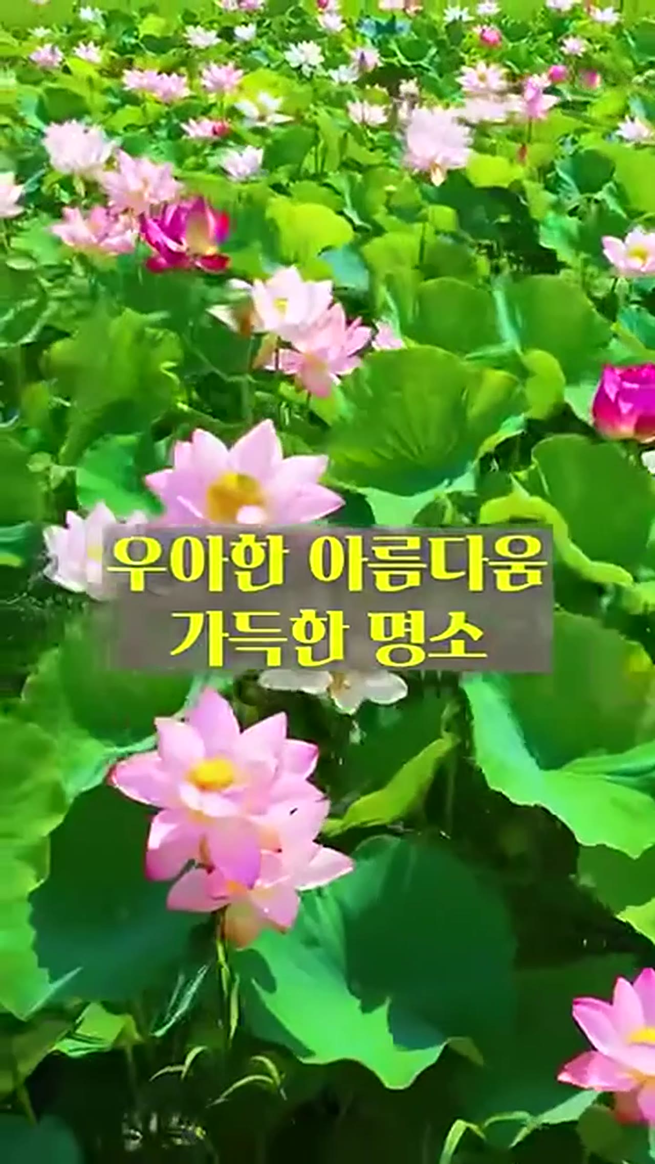 여름 국내 여행지 추천 BEST 5 – 사람 없고 시원한 곳만 골랐다