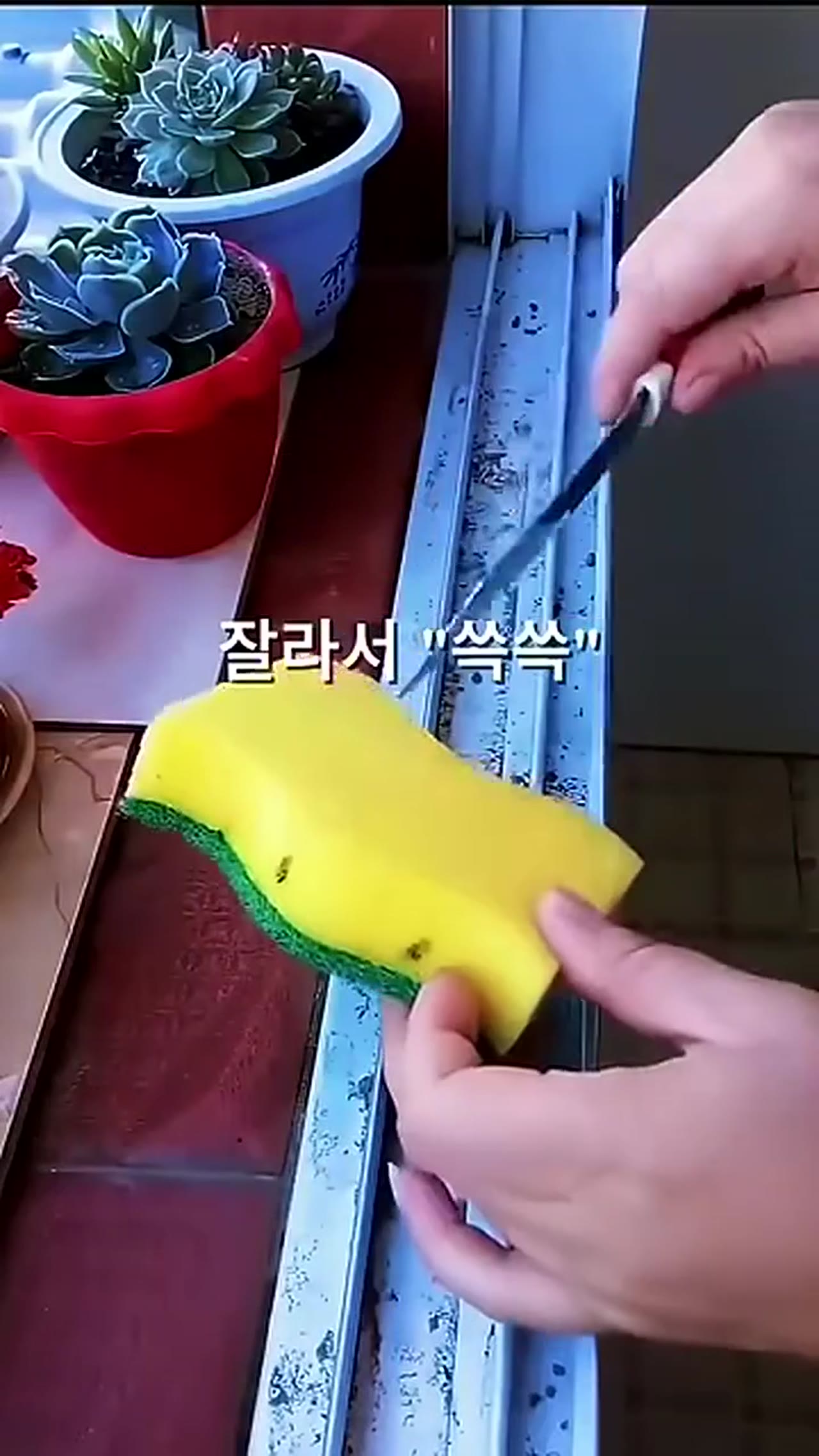 집에 다 있는 재료로 해결되는 살림 꿀팁 4가지, 돈 한 푼 안 씁니다