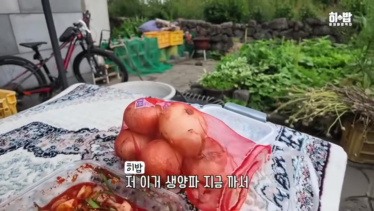 곱창 구이에 양파 쌈까지, 제주도에서 즐긴 곱창 먹방 — 찐 곱창 고르는 법도 따로 있다