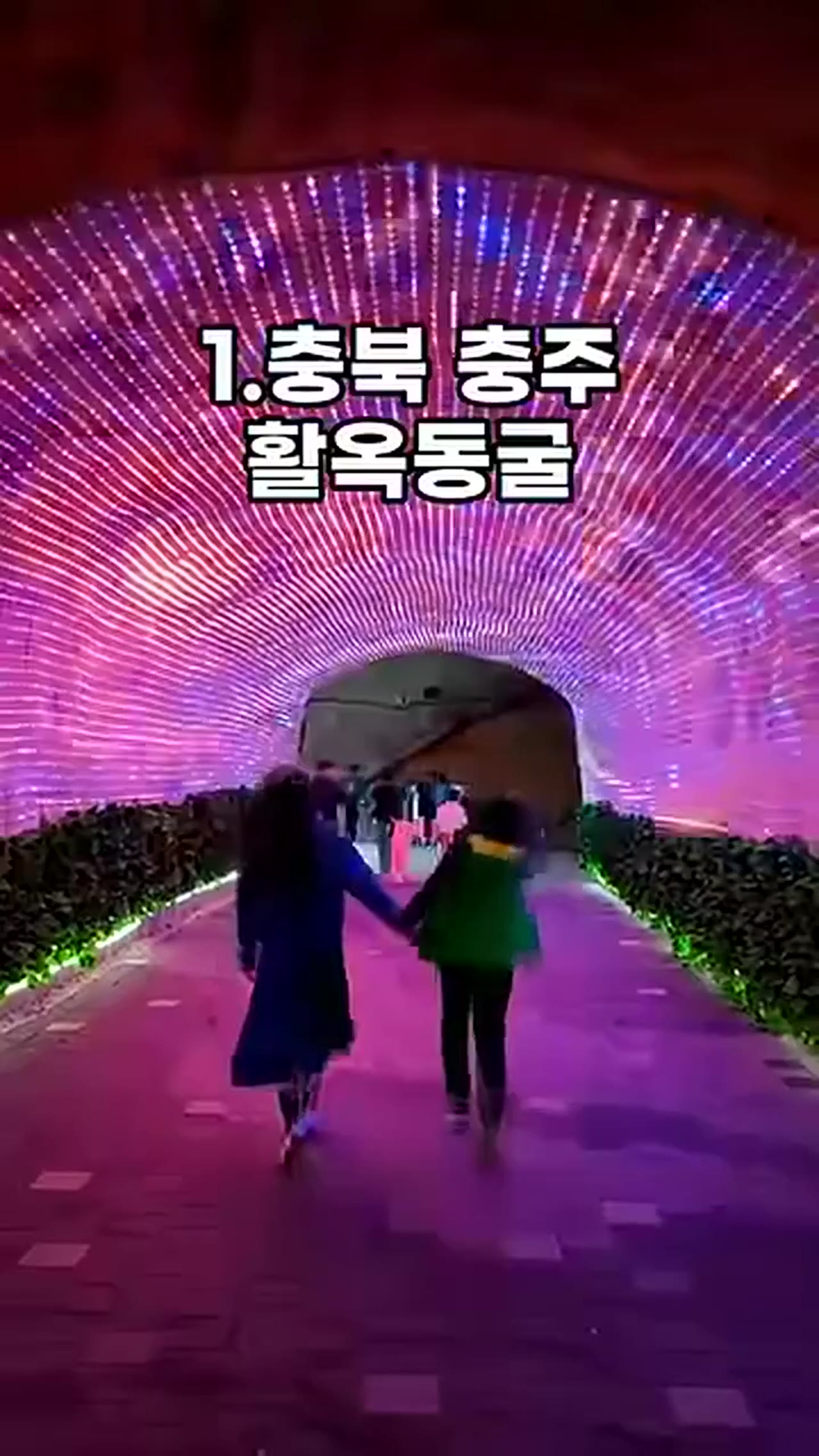 충주 활옥동굴·제천 의림지·괴산 아쿠아리움·청주 과학체험관 — 충북 여름 여행지 4곳 실제 볼거리 정리