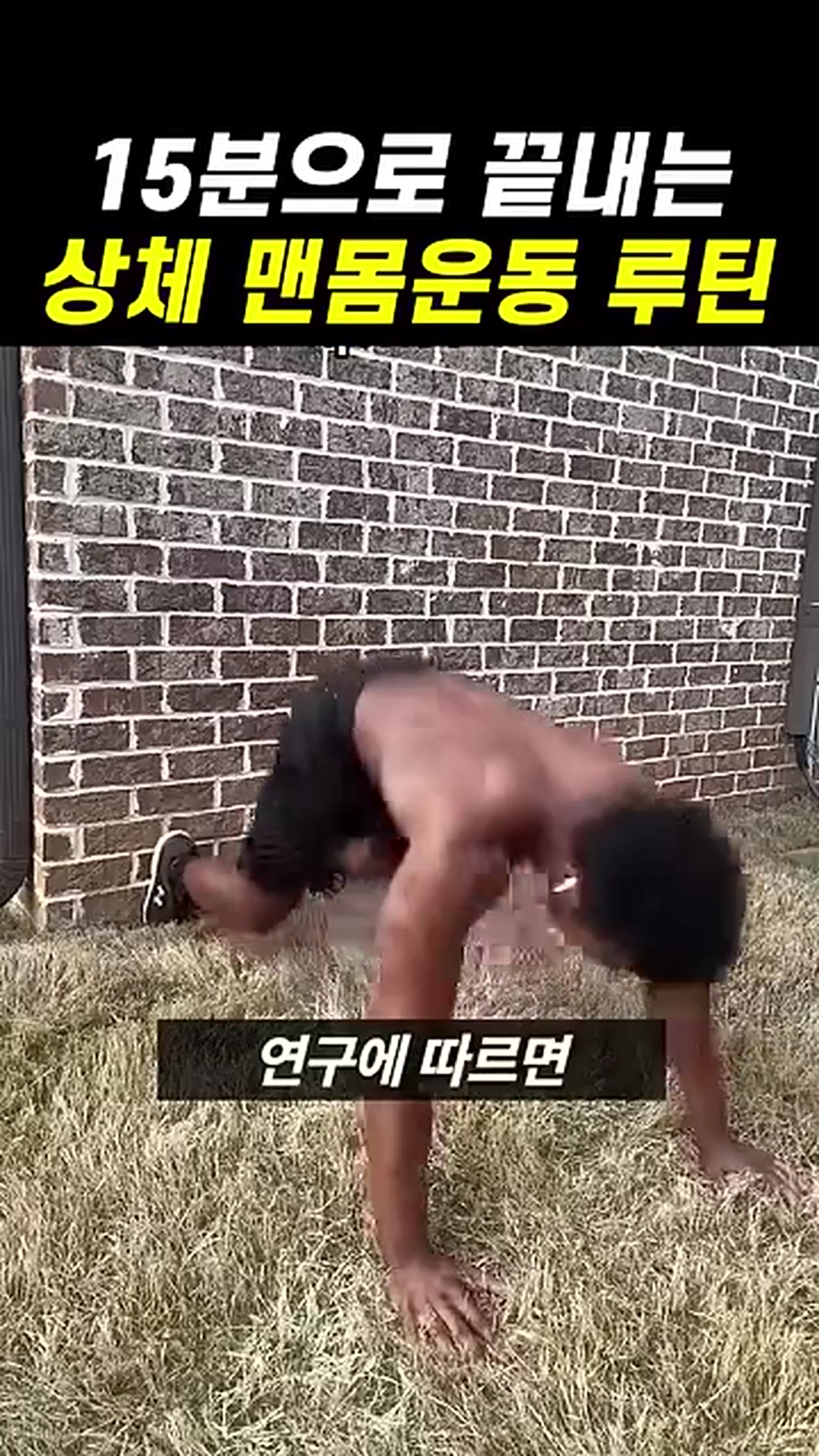 헬스장 없이 15분 맨몸 상체 운동으로 근성장 되는 이유, 아직도 모르는 사람 많다