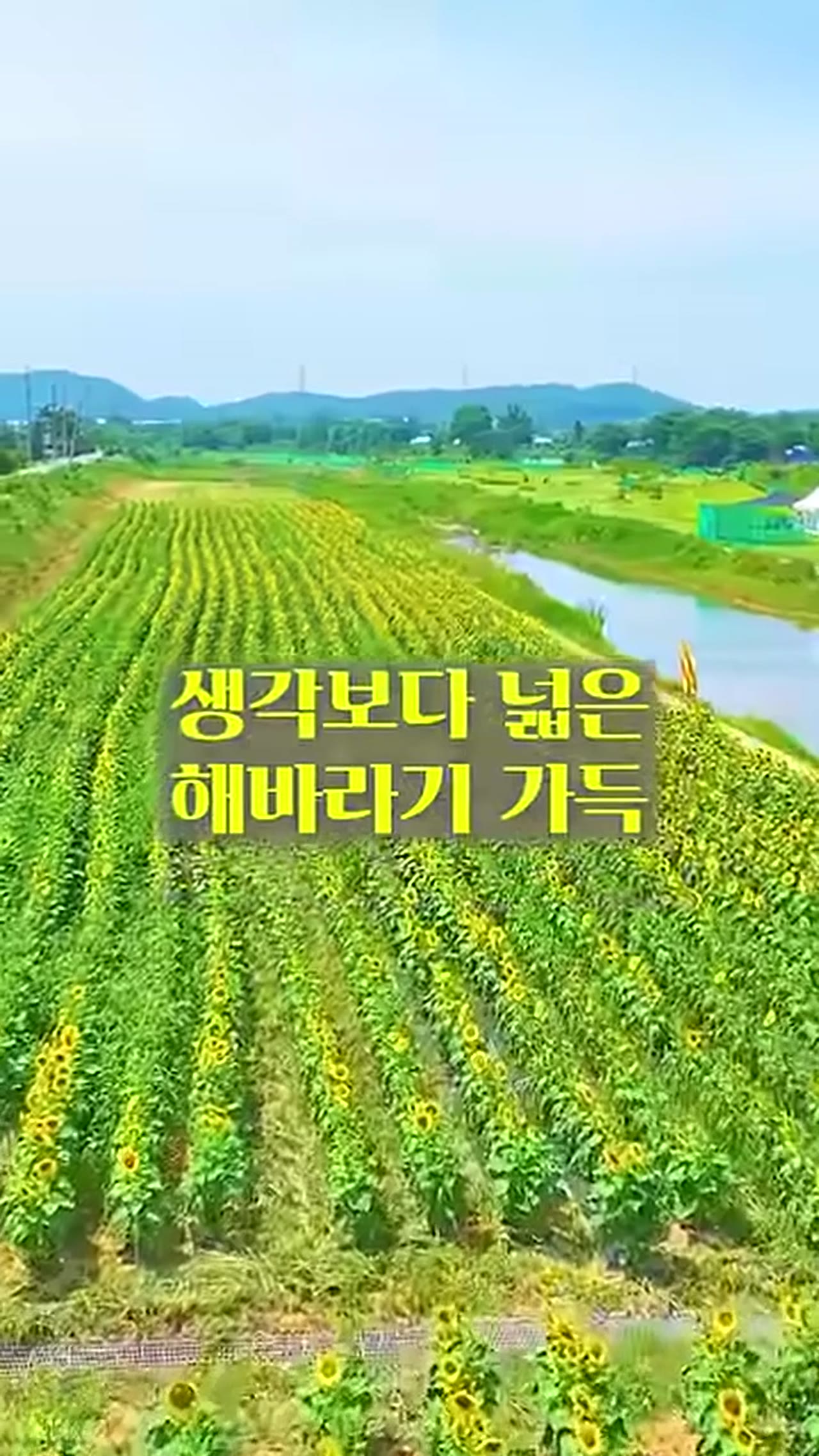 7월 국내 여행 추천 BEST — 지금 당장 가야 할 충청 여행지 4곳